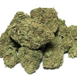 Berry White Strain - Indica (Wholesale) Berry White Strain - Indica (Wholesale)