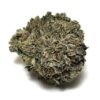 Blueberry Strain - Indica Dominant Hybrid (Wholesale) Blueberry Strain - Indica Dominant Hybrid (Wholesale)