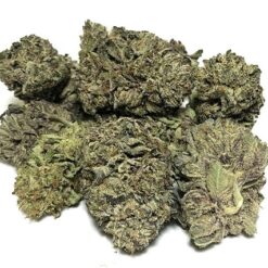 Blueberry Strain - Indica Dominant Hybrid (Wholesale) Blueberry Strain - Indica Dominant Hybrid (Wholesale)