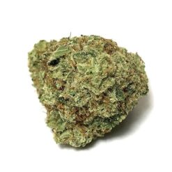 G13 Strain - Indica Dominant Hybrid (Wholesale)