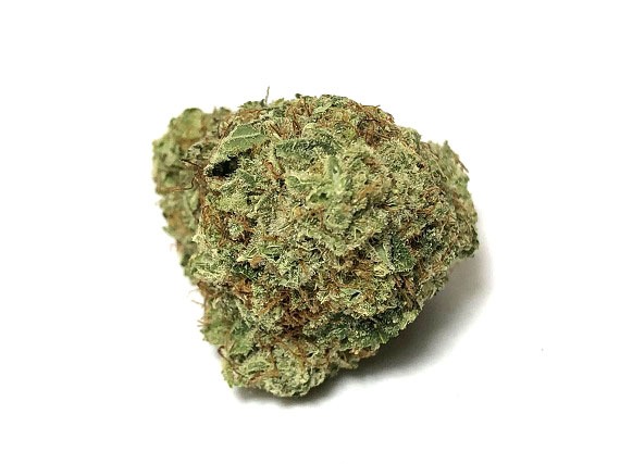 G13 - Indica Dominant Hybrid