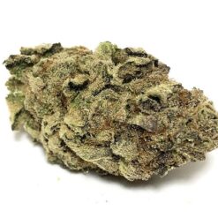 Ghost Train Haze Strain - Sativa Dominant Hybrid (Wholesale)