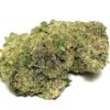 Grape God Strain - Sativa Dominant Hybrid (Wholesale) Grape God Strain - Sativa Dominant Hybrid (Wholesale)