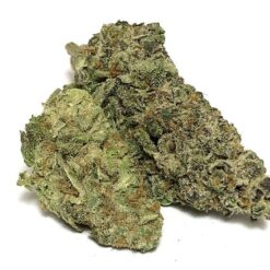 Duke Nukem Strain - Sativa Dominant Hybrid (Wholesale)