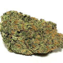 Pineapple Express Strain - Sativa Dominant Hybrid (Wholesale) Pineapple Express Strain - Sativa Dominant Hybrid (Wholesale)