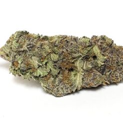 Purple Nurple Strain - Indica Dominant Hybrid (Wholesale)