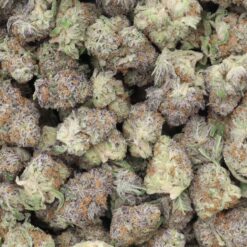 Allen Wrench Strain AAA Small Buds - Sativa Dominant Hybrid Allen Wrench Strain AAA Small Buds - Sativa Dominant Hybrid