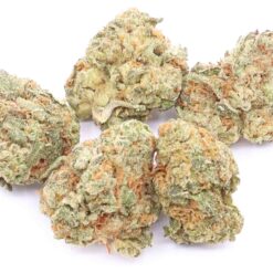 Banana OG Strain AAA Small Buds - Indica Dominant Hybrid Banana OG Strain AAA Small Buds - Indica Dominant Hybrid