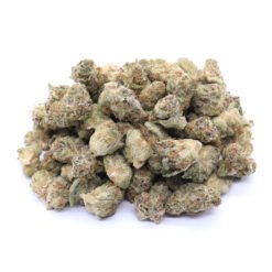Berry White Strain Small Buds - Indica Dominant Hybrid