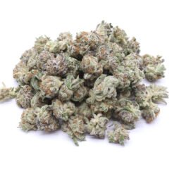 Berry White Strain Small Buds - Indica Dominant Hybrid