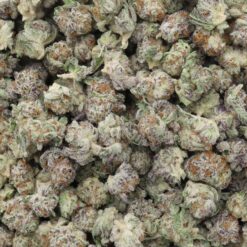 Berry White Strain Small Buds - Indica Dominant Hybrid Berry White Strain Small Buds - Indica Dominant Hybrid