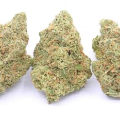 Blueberry Strain Flower - Indica Dominant Hybrid Blueberry Strain Flower - Indica Dominant Hybrid