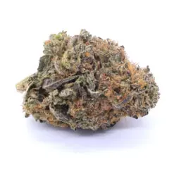 Blueberry Strain Flower - Indica Dominant Hybrid