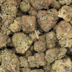 Blueberry Strain Flower - Indica Dominant Hybrid