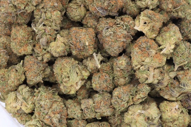 Blueberry
