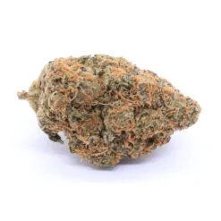 Duke Nukem Strain Flower - Sativa Dominant Hybrid