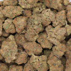 Duke Nukem Strain Flower - Sativa Dominant Hybrid