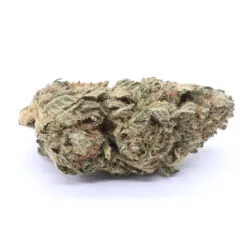 G13 Strain Flower - Indica Dominant Hybrid