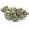 G13 Strain Flower - Indica Dominant Hybrid G13 Strain Flower - Indica Dominant Hybrid
