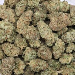 G13 Strain Flower - Indica Dominant Hybrid