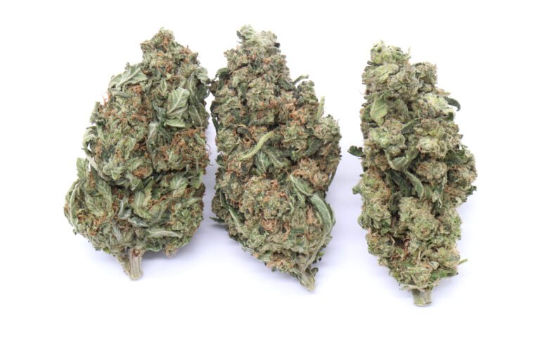 G13