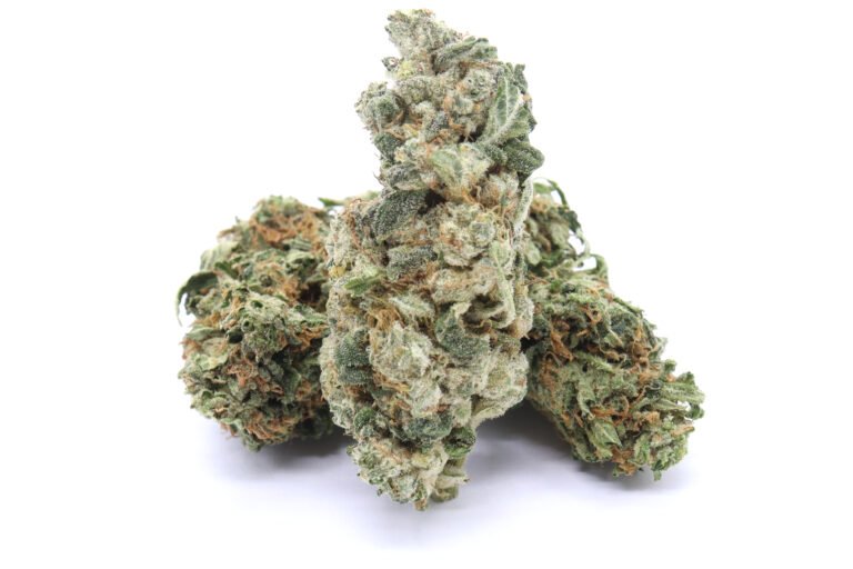 G13