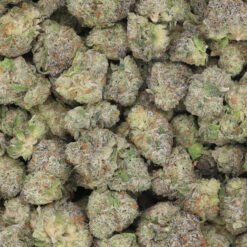 Grape God Strain AAA Small Buds - Sativa Dominant Hybrid