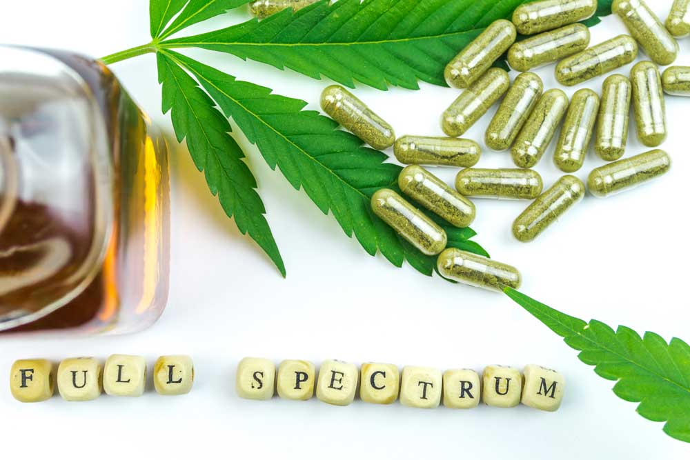 What To Look For In CBD Skin Products