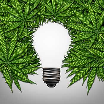 How to Keep Weed Fresh