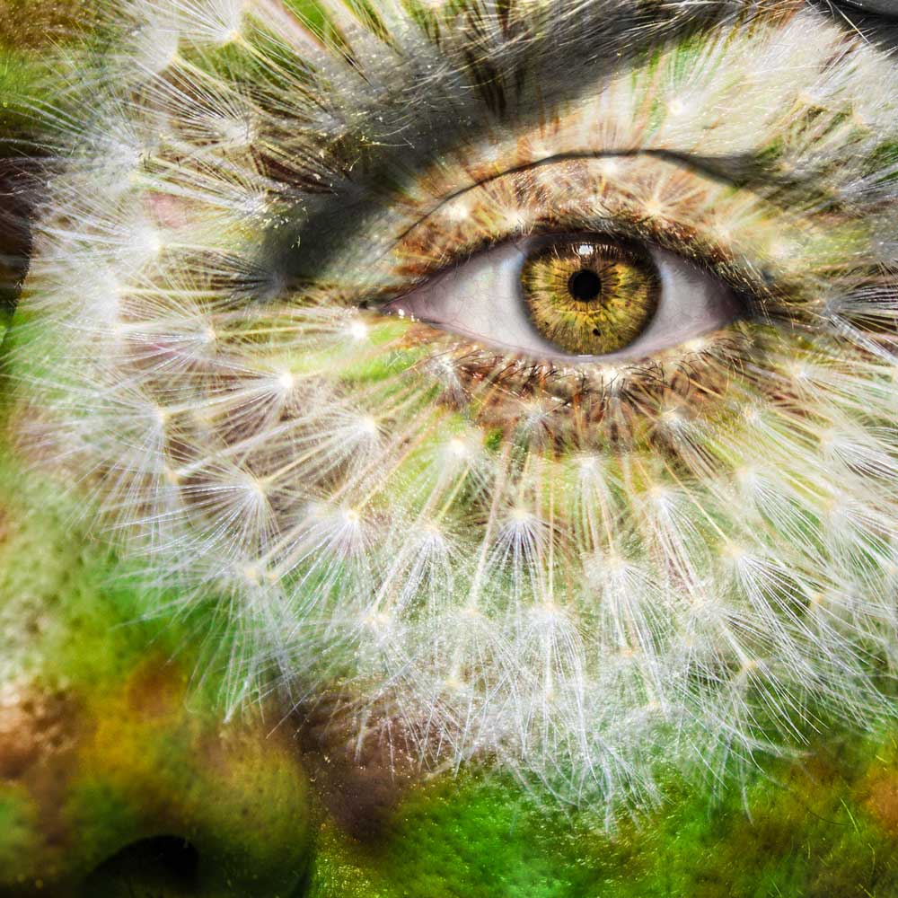 Other Marijuana Effects on the Eyes