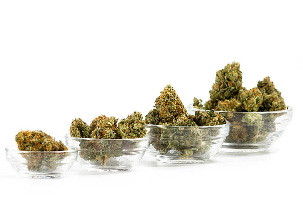 How to Store Marijuana