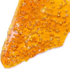 Nepalese Strain Shatter - Sativa Nepalese Strain Shatter - Sativa