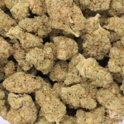 Pineapple Express Strain AAA Small Buds - Sativa Dominant Hybrid