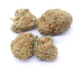 Pineapple Express Strain AAA Small Buds - Sativa Dominant Hybrid Pineapple Express Strain AAA Small Buds - Sativa Dominant Hybrid