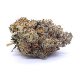 Purple Nurple Strain Flower - Indica Dominant Hybrid
