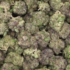 Purple Nurple Strain AAA Small Buds - Indica Dominant Hybrid Purple Nurple Strain AAA Small Buds - Indica Dominant Hybrid