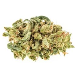 Bay 11 Strain Small Buds - Hybrid