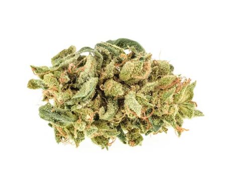 Bay 11 Strain Small Buds - Hybrid