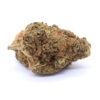 Bay 11 Strain Flower - Hybrid