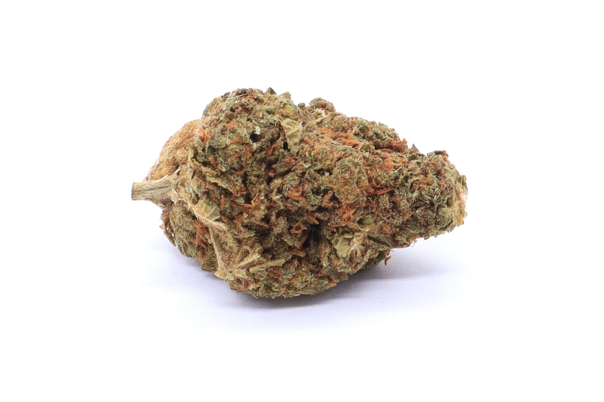 Bay 11 Strain Flower - Hybrid