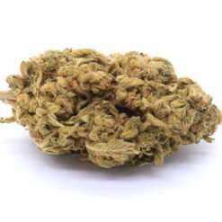 Bay 11 Strain Flower - Hybrid