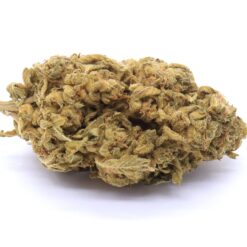 Bay 11 Strain Flower - Hybrid