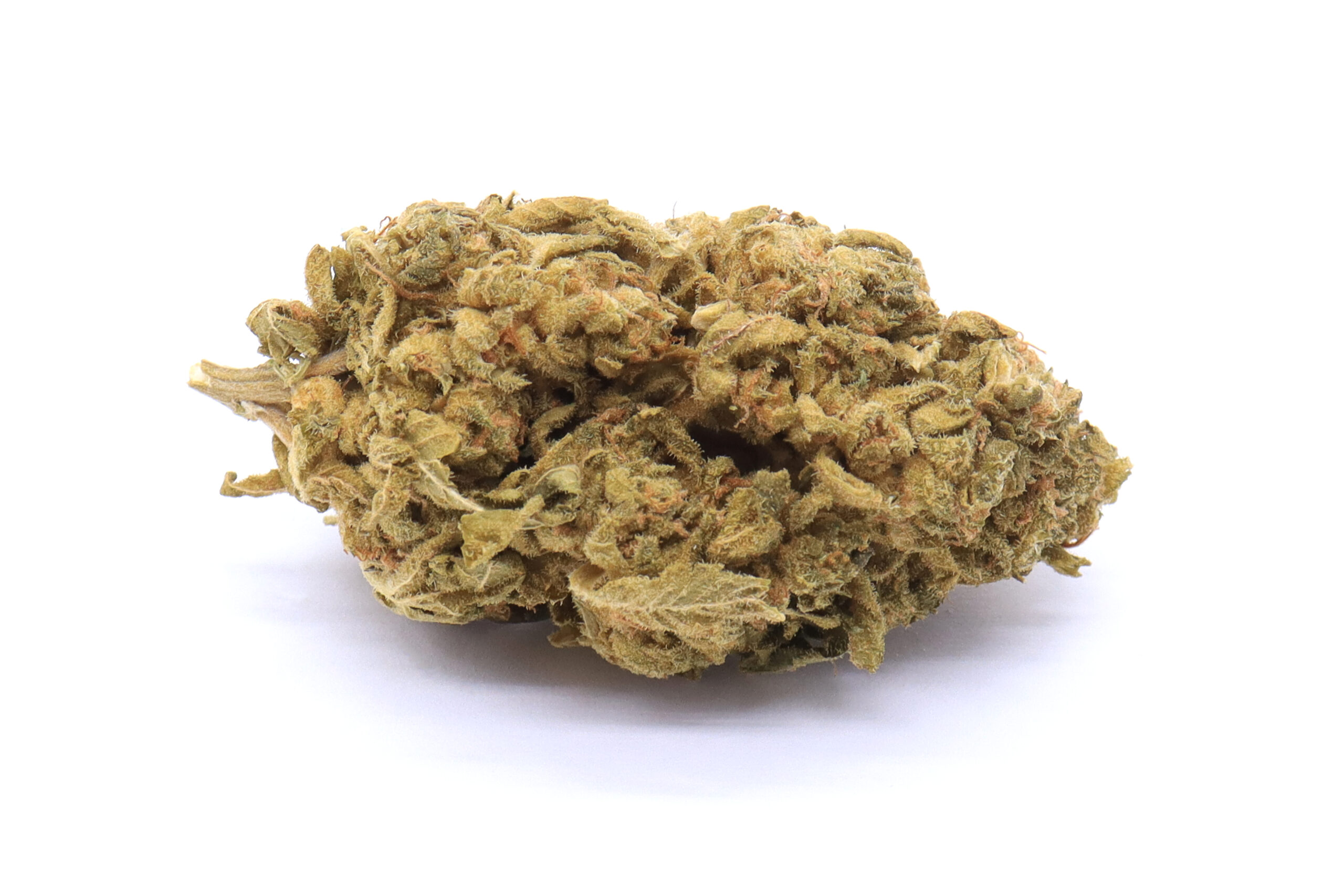 Bay 11 Strain Flower - Hybrid