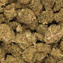 Bay 11 Strain Flower - Hybrid