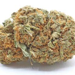 Cannatonic Strain Flower - Hybrid