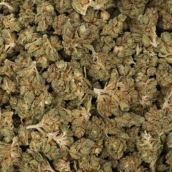 Herijuana Strain Flower - Indica Dominant Hybrid Herijuana Strain Flower - Indica Dominant Hybrid