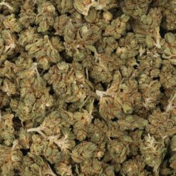 Herijuana Strain Flower - Indica Dominant Hybrid Herijuana Strain Flower - Indica Dominant Hybrid