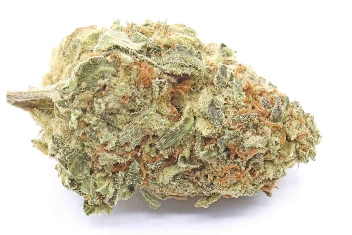 Herijuana, Herijuana Hybrid | Buy Online Canada