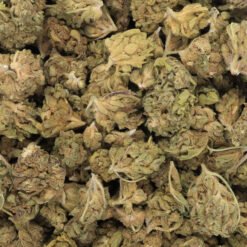 Herijuana Strain Flower - Indica Dominant Hybrid