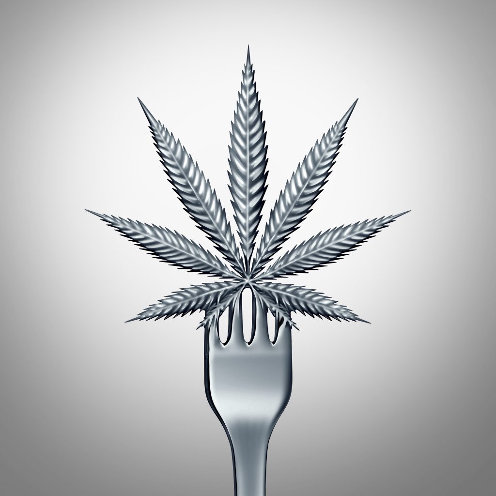 Why Does Weed Make You Hungry